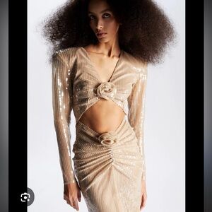 The New Arrivals by Ilkyaz Ozel Aurora Sequin Dress